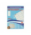 Etichete din poliester pentru imprimante laser 25 coli/top, EVOffice
