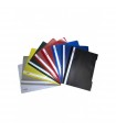 Dosar din plastic cu sina si 2 perforatii EVOffice