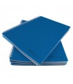 Caiet A4 cu spira metalica, microperforatii si coperta plastic, EVOffice - 100 file