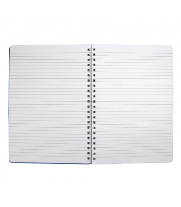 Caiet A4 cu spira metalica, microperforatii si coperta plastic, EVOffice - 100 file