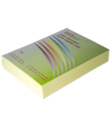 Hartie cartonata, culori pastel A4, 160 g/mp, 250 coli/top Evoffice